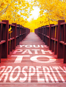 Newsletter image depicting a representation of your path to prosperity